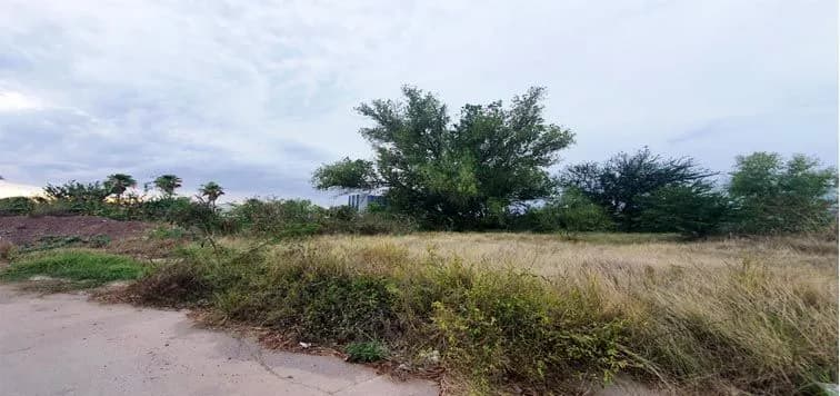 Galería 5