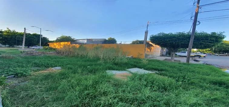 Galería 6