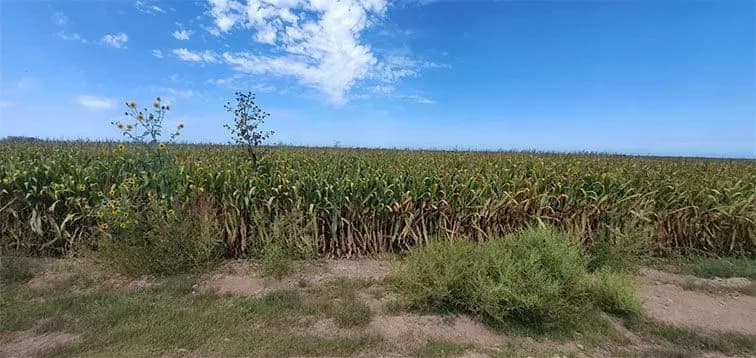 Galería 5