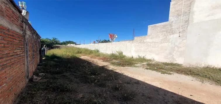 Galería 7